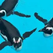 うねりの画像