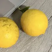 ちむの画像