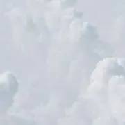 おもちの画像