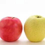 ハナミ