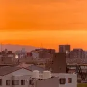 トムの画像