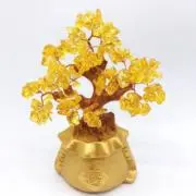 トラトラの画像
