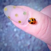 Rieの画像