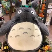 ソフィの画像