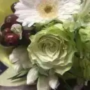 nananatsuの画像