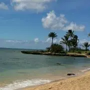 ALOHA⭐SALEの画像