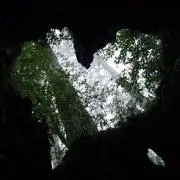 ぐりーんの画像