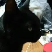 ゆうた