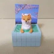 みづえ☆彡24☆の画像