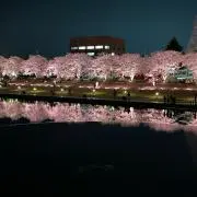 いかだいしん