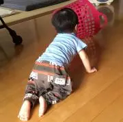 ネムシの画像