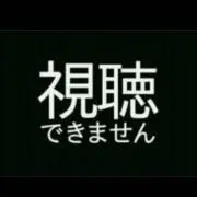 ジャガー☆24時間以内に発送致します☆