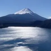 ヤマの画像
