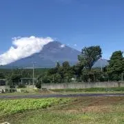 リンダーボーイ