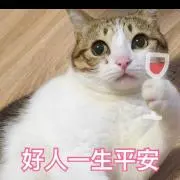 佑胡の画像