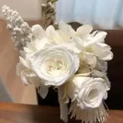 うさこ