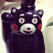 イワヤマの画像