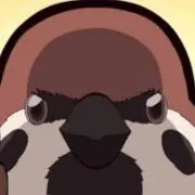 ちゅんちゅんの画像
