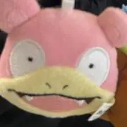 Pの画像