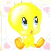 nono