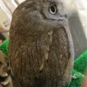 mの画像