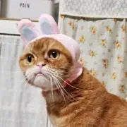 mikimikiの画像