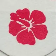 Mi-Xの画像