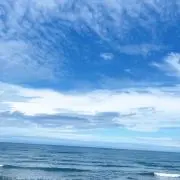 みけの画像