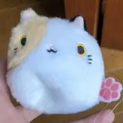 Y.M☺︎