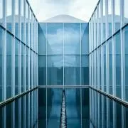 ナスの画像