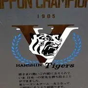 PSKの画像