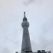 みーちゃん