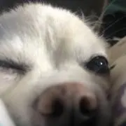 Mの画像