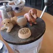wiyu