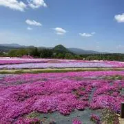yumingの画像