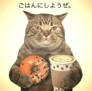 ミキティ　セール開催中ですの画像