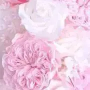 マーの画像