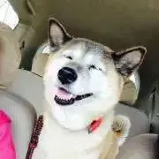 さくらの画像