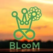 B Loom