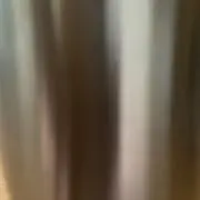 chatoraの画像