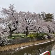 あじぇんの画像