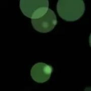 きのぴぃの画像