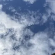 つくもの画像