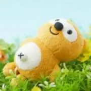 ぽんさらの画像
