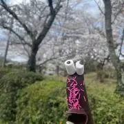 れんれんの画像