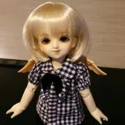 青眼鏡の画像