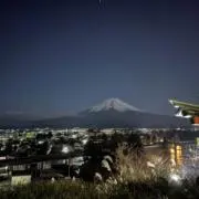 わんころ⭐️断捨離中の画像