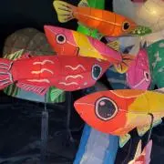 金魚の画像