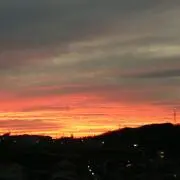 すすすの画像
