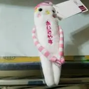 ぽちこ